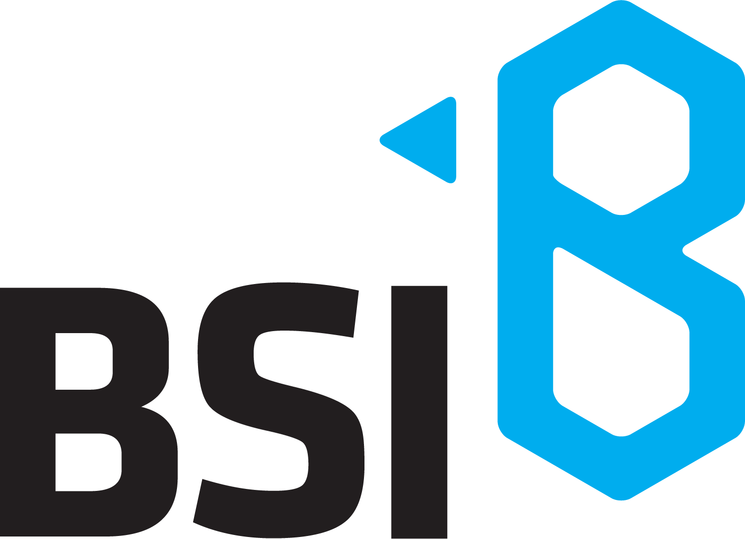 BSI — BEETソリューションイノベータ株式会社